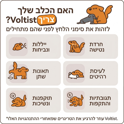 מפיץ פרומונים לכלבים