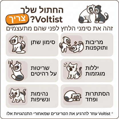 בקבוקון למילוי לפרומונים לחתולים
