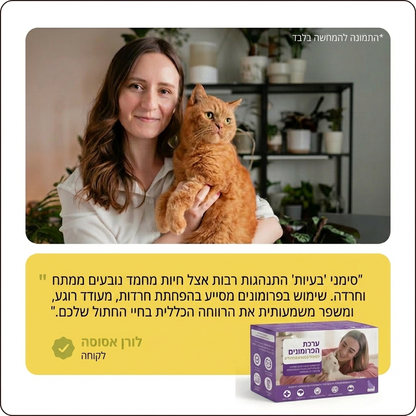 בקבוקון למילוי לפרומונים לחתולים